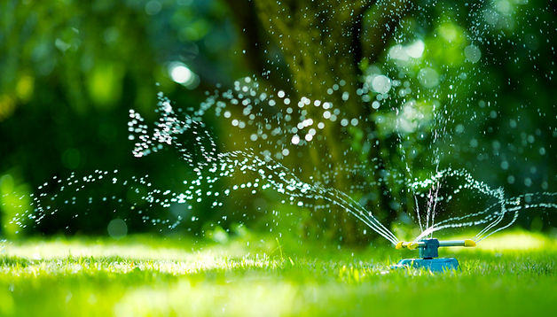 Water Your Lawn