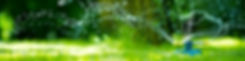 Green lawn being watered