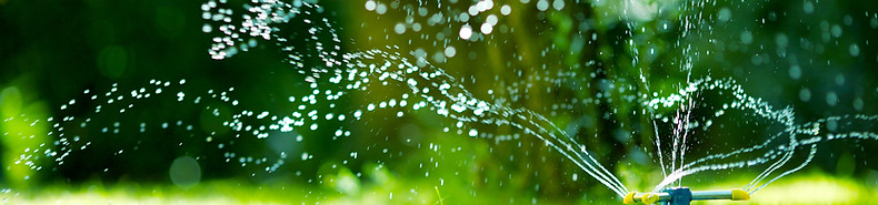 สวนท่อสปริงเกลอร์