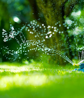 pierre-chatel-innocenti-Lk-nu_hX6ms-unsplash 2.png