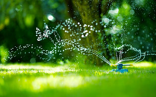 Garden Sprinkler Watering