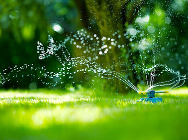 Garden Sprinkler Watering