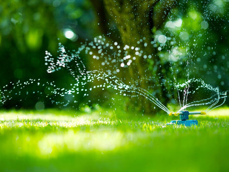 5 Ways to Avoid Wasting Water This Summer