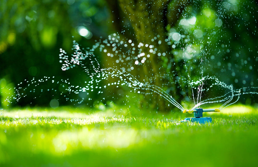 Garden Hose Sprinkler