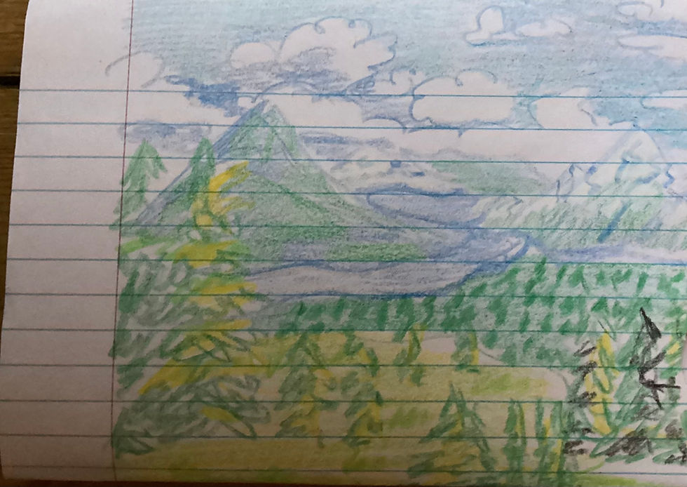Forest and snow covered mountains 