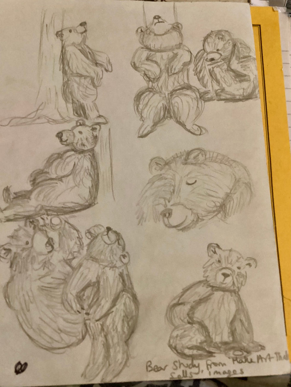 Bear Studies