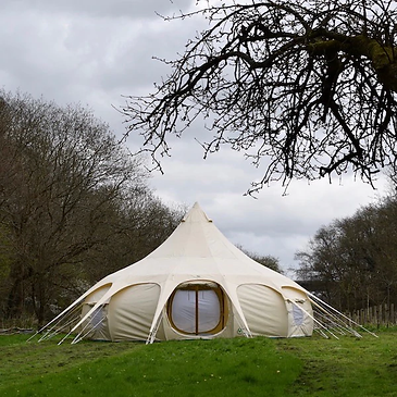 6mOUTBACK DELUXE.webp