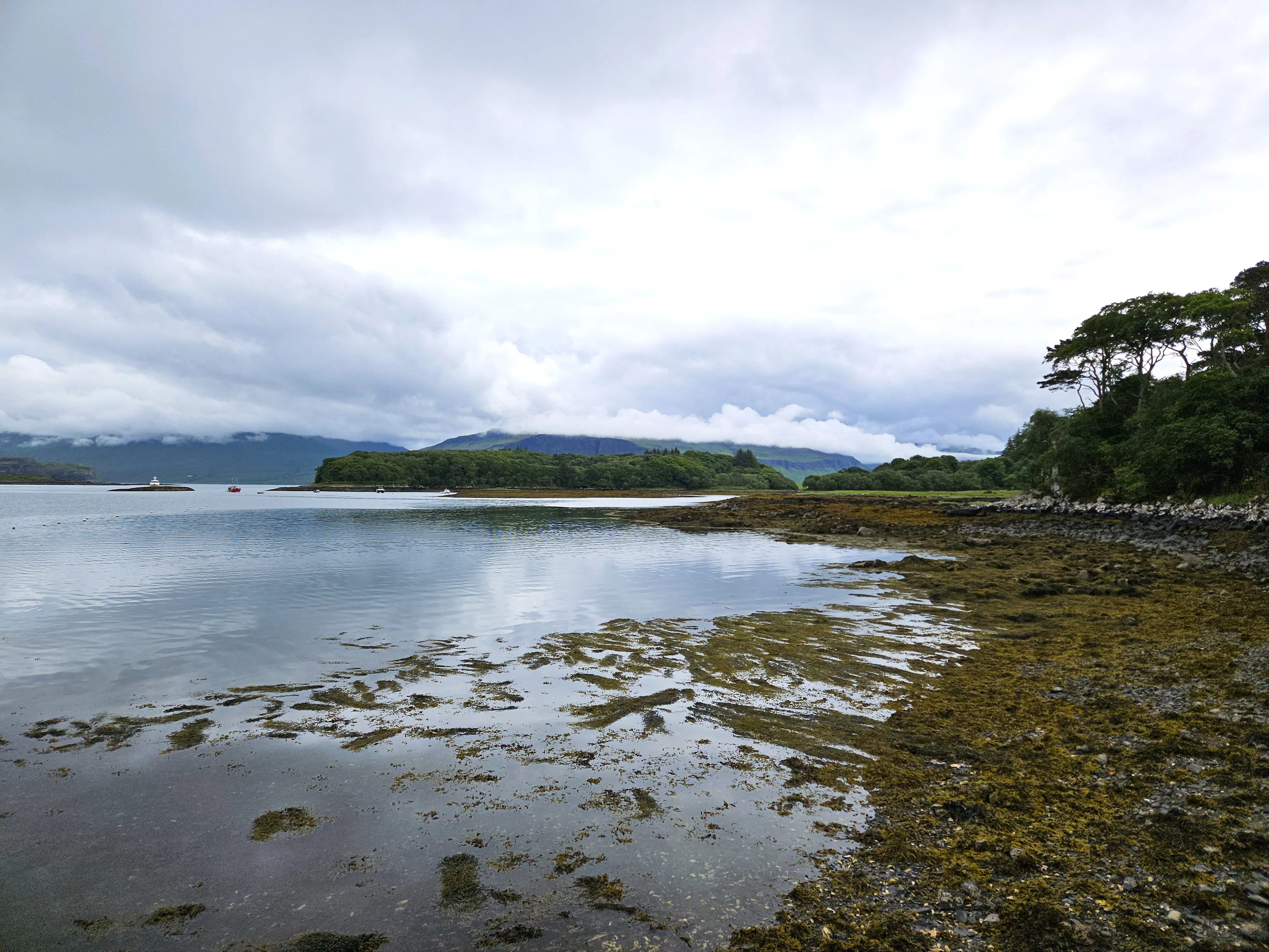 A seaweed-covered pebbly shoreline with calm waters, hills in the background and a cloudy sky.