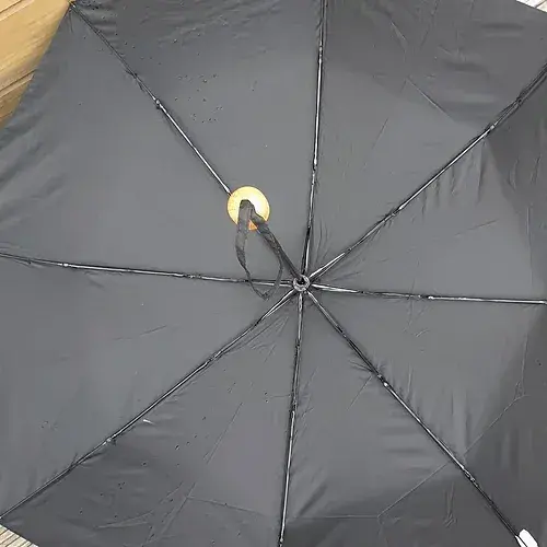 Thumbnail: Recycled Umbrella