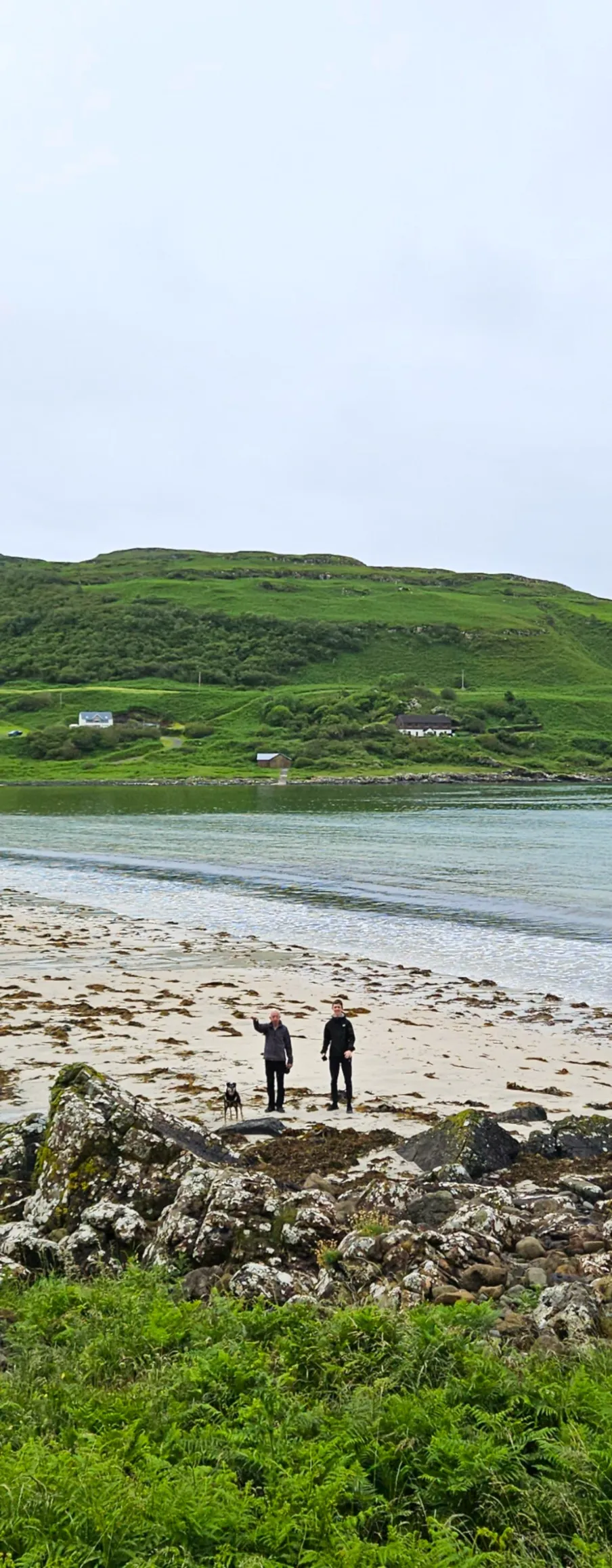 A view down onto two men and a dog on a sandy beach with seaweed-covered rocks in the foreground, blue water with small waves and a green hill with white houses beyond.