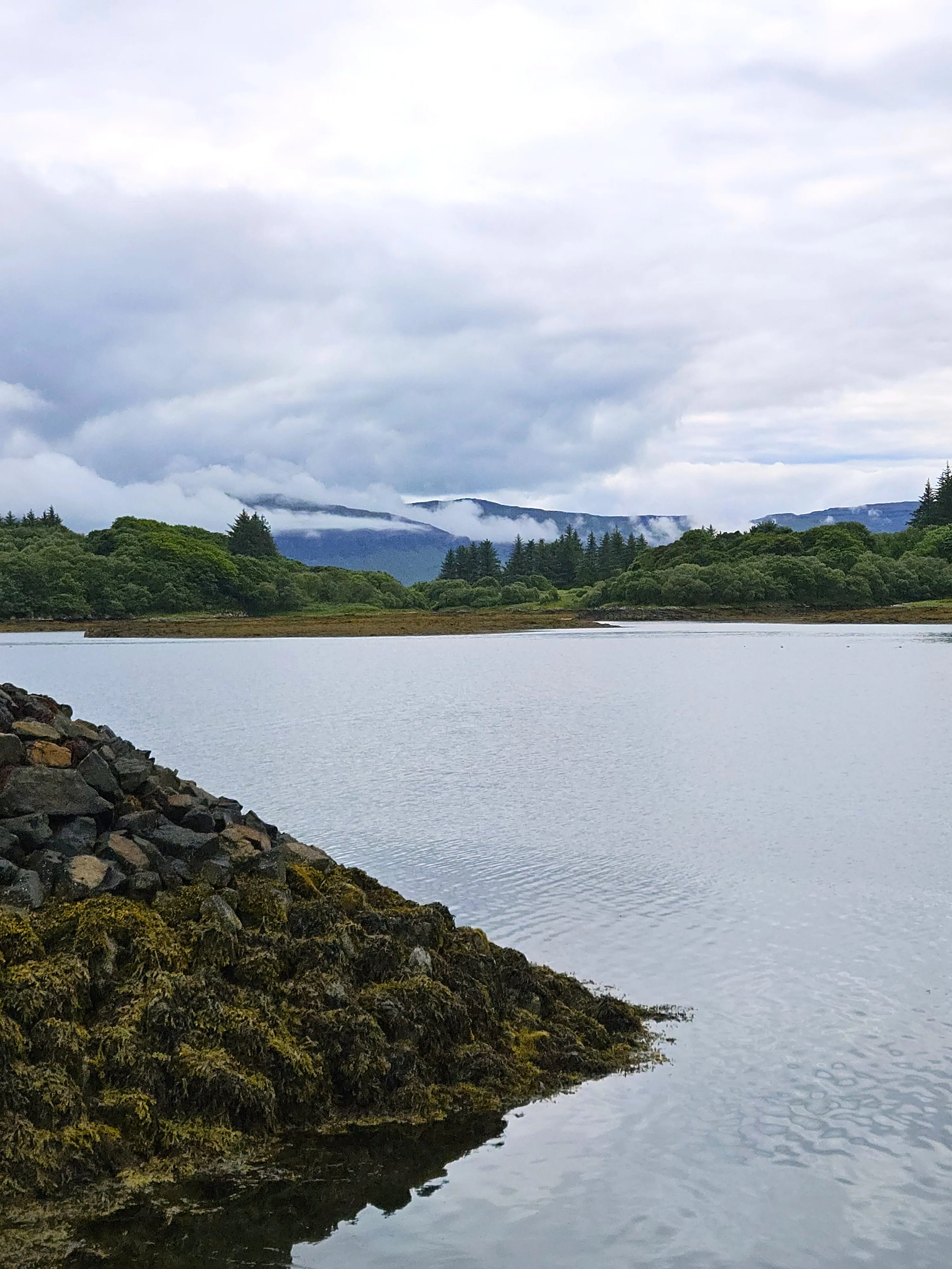 A steep rocky shoreline slopes down into the water, with a view of trees and hills in the distance.