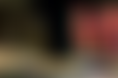 November in Philly: Must-Attend Events and How to Find Your Dream Home in the City