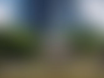 Philly Pulse: Foodie Delights, Equestrian Elegance, and Market Insights