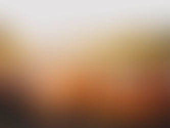 Top 5 Family-Friendly Fall Events and Festivals Near You