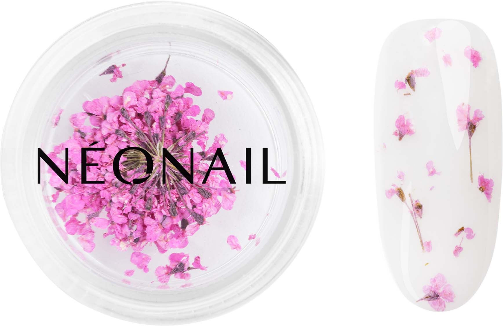 Dried flowers 02 - Purple