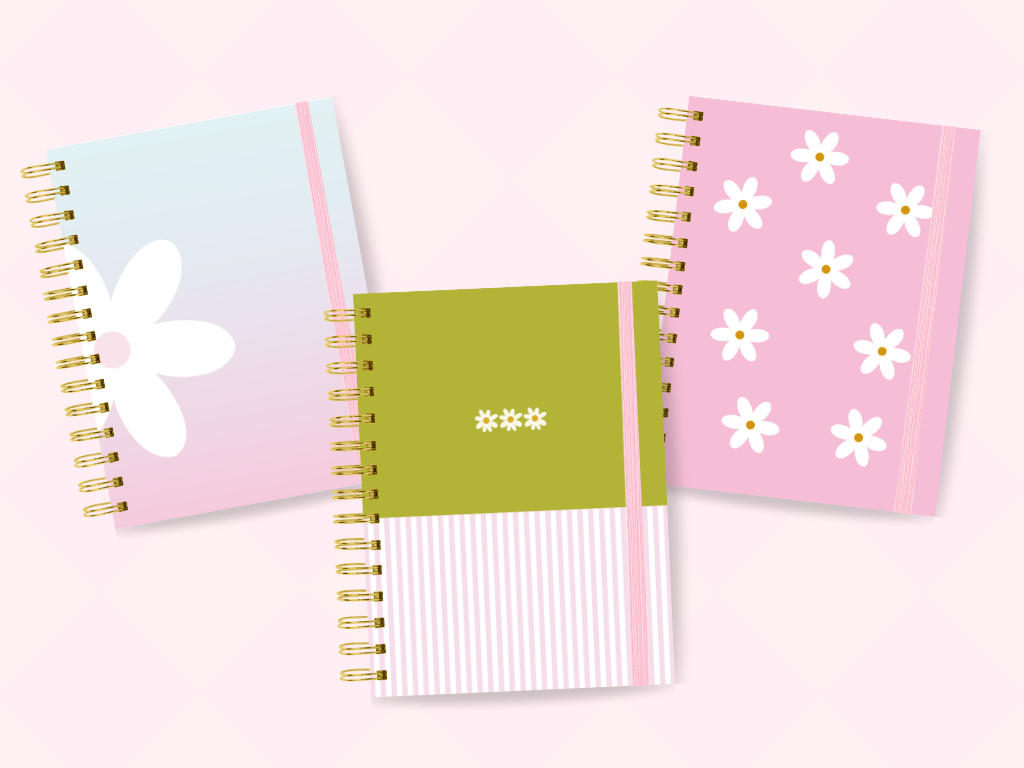 KIT DE CADERNOS LINDOS