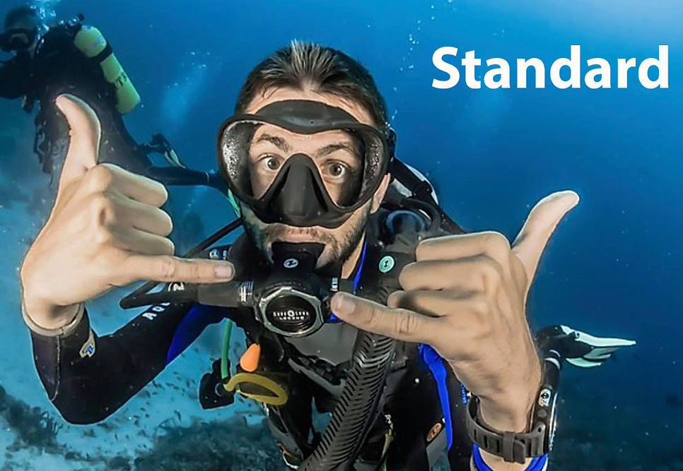 PADI Bubblemaker Session Standard