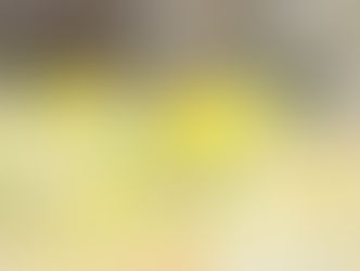 今日の花言葉 ●令和5年 2月24日 金曜日●