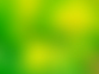 今日の花言葉 ●令和5年 2月6日 月曜日●