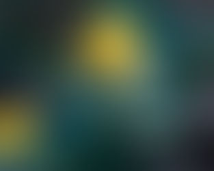 今日の花言葉 ●令和5年 12月16日土曜日●