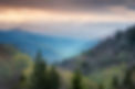 shutterstock_174003929.jpg