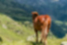 Andorra summer hiking trails outdoor lifestyle