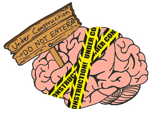 Brain Under Construction