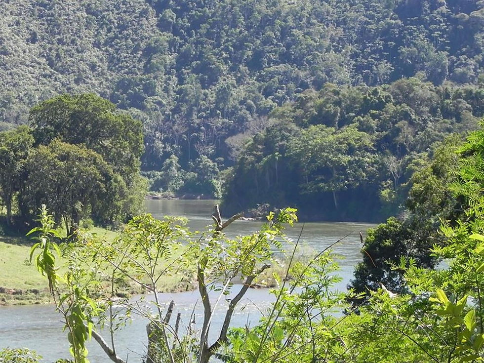 Servidão