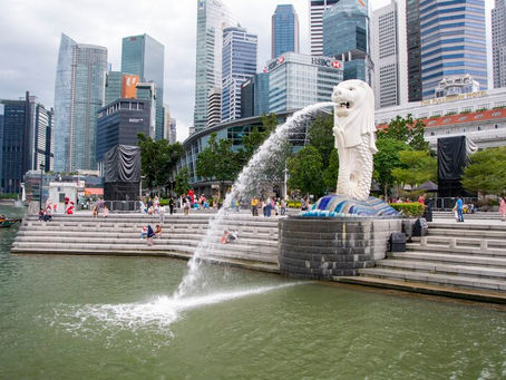 Build Bridges of Peace and Solidarity in a World Divided by Differences