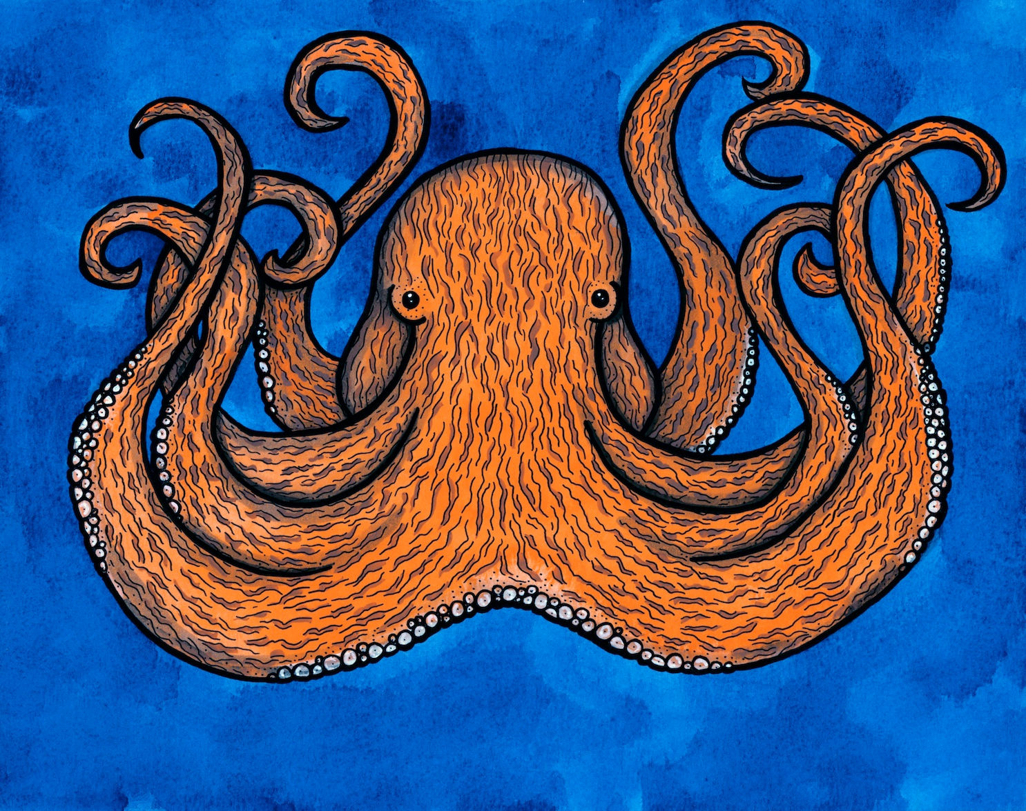 Giant Pacific Octopus