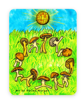 Fairy Ring Mini Sticker Set of 12