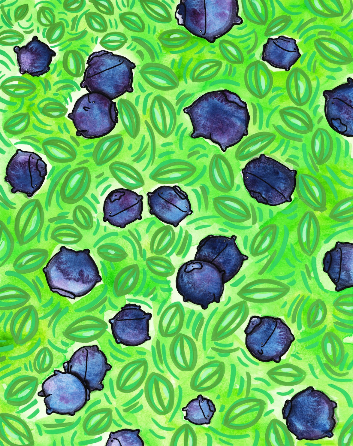 Blueb berry Patch