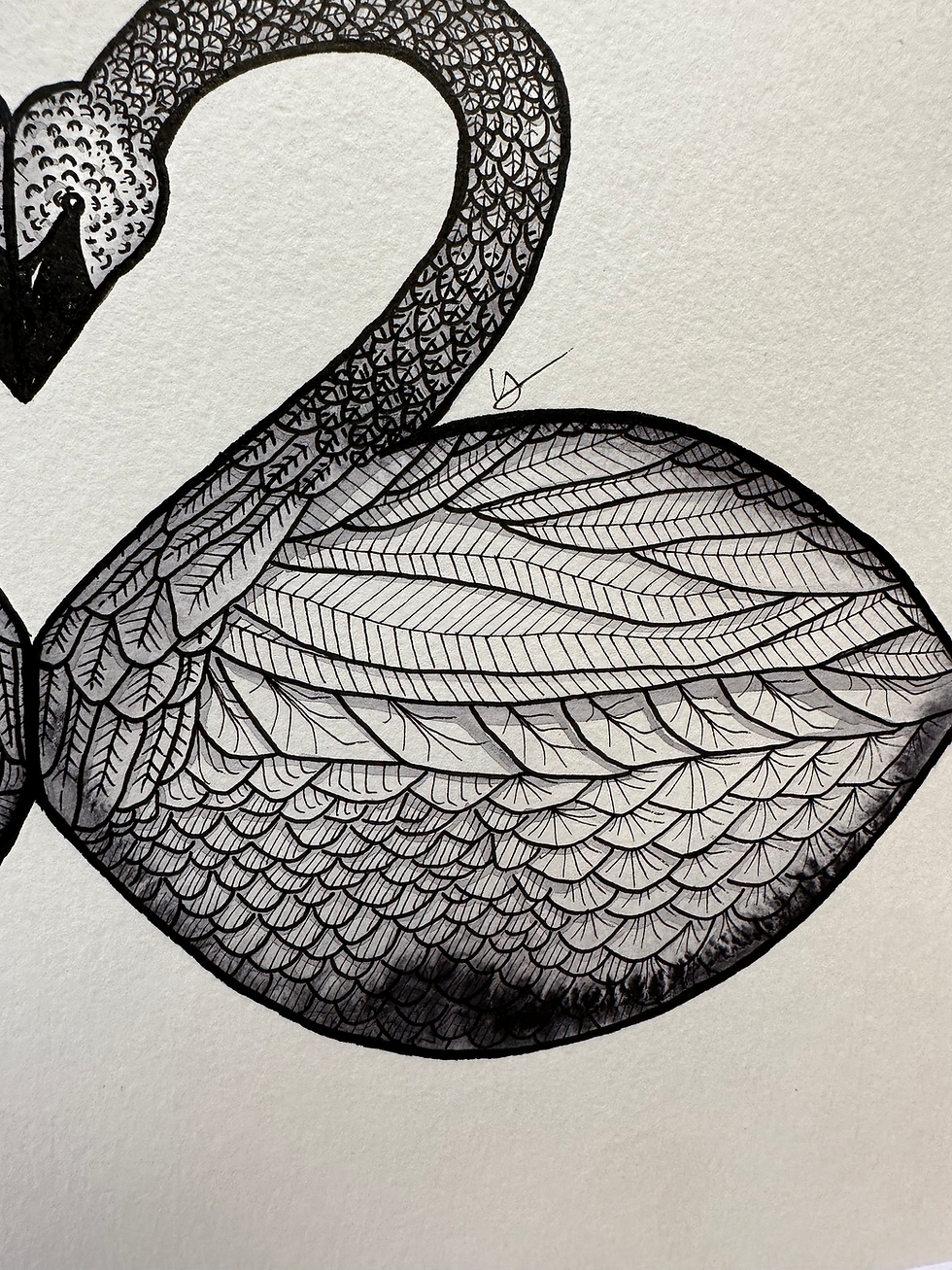 Thumbnail: Trumpeter Swans Original
