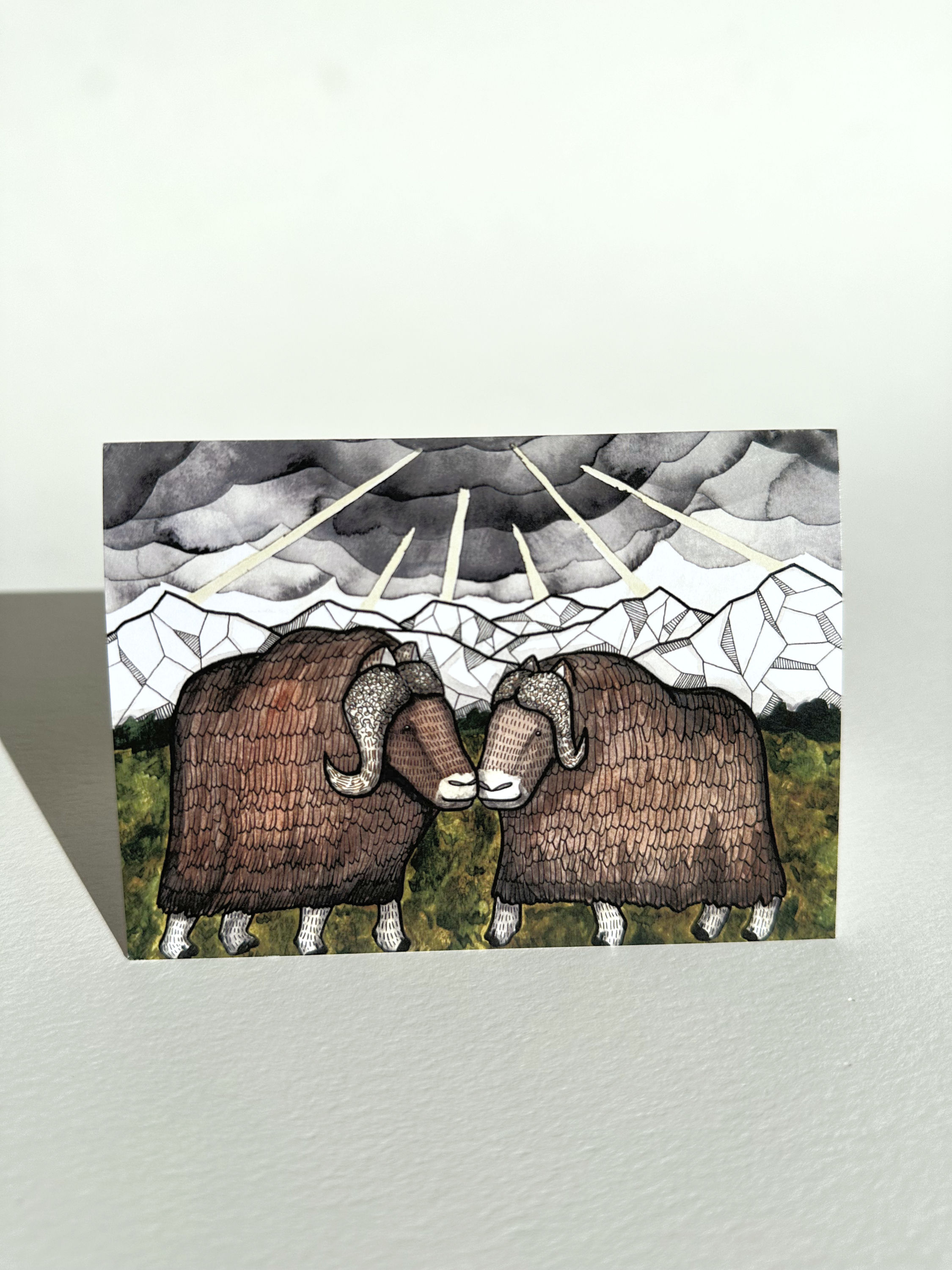 Musk Ox Storm Clearing Individual Card Set of 6