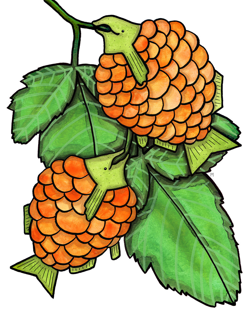 Salmon Berries Individual Card Set of 6