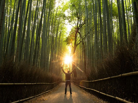 Gratitude and Emotional Intelligence, The Heart-Brain Connection
