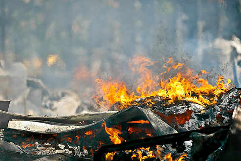 iStock-181633492.jpg