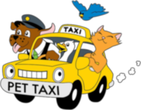 Taxi dog per i vostri amici a 4 zampe