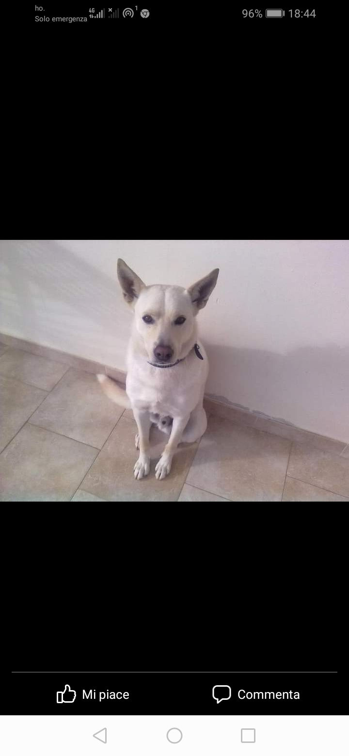 Rudy