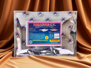 Effective Strategies for Eliminating Lice and Parasites in Aquaculture