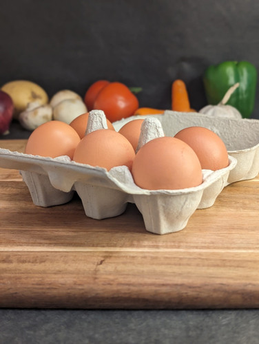 Free Range Chicken Eggs | Nixonville Ranch Co
