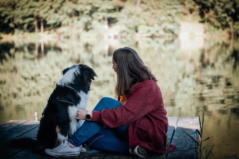 Energiearbeit für Tiere, Energetik, Hundetraining, Jennifer Weinberger, Pfotenzauber