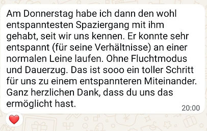 WhatsApp Image 2026-03-19 at 17.08.075.jpeg