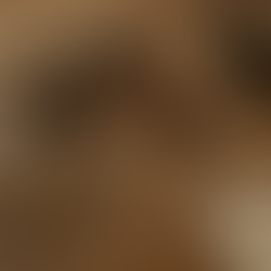 We’re Rebuilding Our Website – Exciting Changes Ahead!