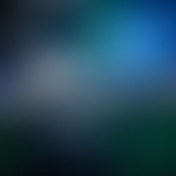 Something is Taking Shape...