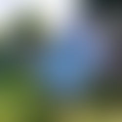 Creative Corner – Proud Print Partner of Veberödsfestivalen