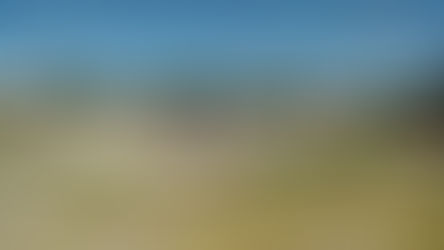 Vecinos se unieron para limpiar su parque