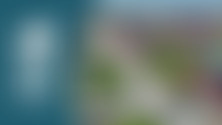 CARE STL helping tornado victims with their pets