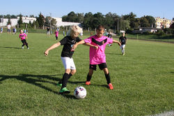 DAM-POL Agro Serwis Dąb Cup 2016