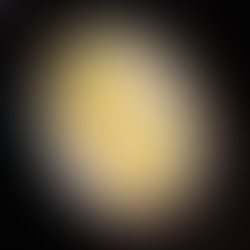 Visiting the Falkland Islands